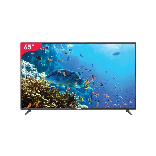 شاشة نيكاي 65 بوصة سمارت 4K نظام ويب اس NIK65MEU4STN